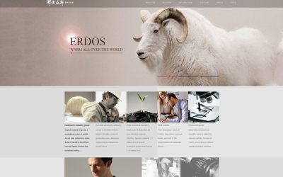 网页设计作品图片大全与案例效果图欣赏 探索特创易·GO的视觉盛宴