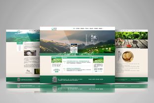 公司官网网站新版UI设计 重塑用户体验，打造现代品牌形象